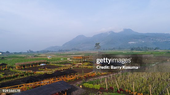 Malang east Java. Malang east Java.
