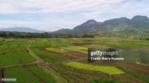 5,511 Malang East Java Stock Photos, High-Res Pictures, and Images ...