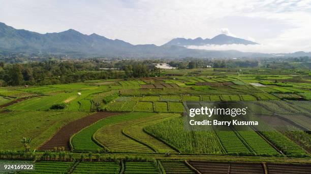 Javaa Vicc 5,645 Malang East Java Stock Photos, High-Res Pictures, and Images ...