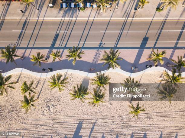 fort lauderdale beach at sunrise from drone point of view - palm tree on beach stock pictures, royalty-free photos & images