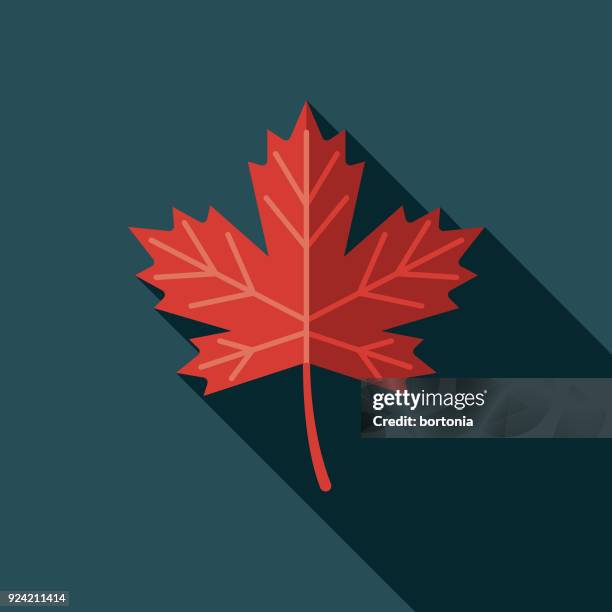 ilustraciones, imágenes clip art, dibujos animados e iconos de stock de hoja de arce diseño plano icono canadiense con sombra lateral - hoja de arce