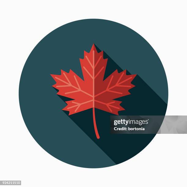 maple leaf flat design canadian icon with side shadow - canadian maple leaf icon stock illustrations