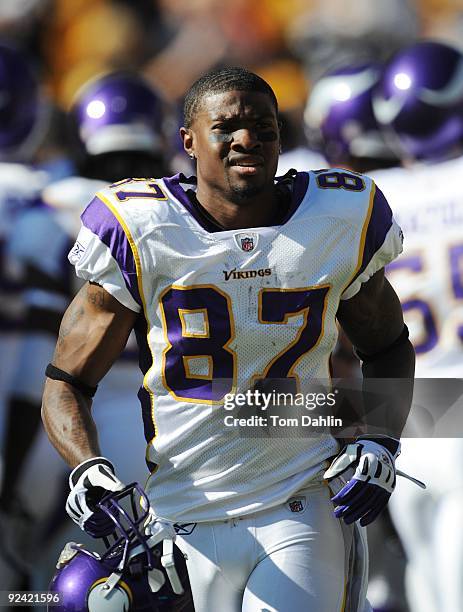 Bernard Berrian of the Minnesota Vikings warms up prior to an NFL game against the Pittsburgh Steelers, October 25 at Heinz Field in Pittsburgh...