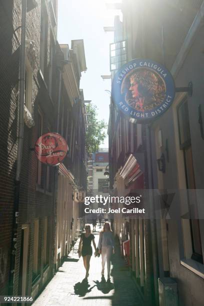 amsterdam de wallen met seks winkels - amsterdam-red-light-district-photos stockfoto's en -beelden