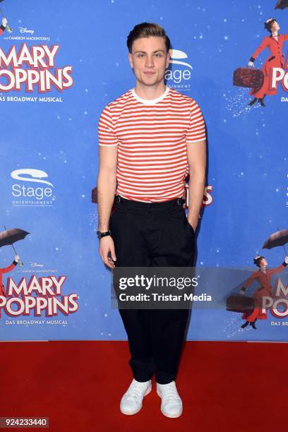 Jannik Schuemann attends the 'Mary Poppins' Musical Premiere at Stage Theater on February 25, 2018 in Hamburg, Germany.