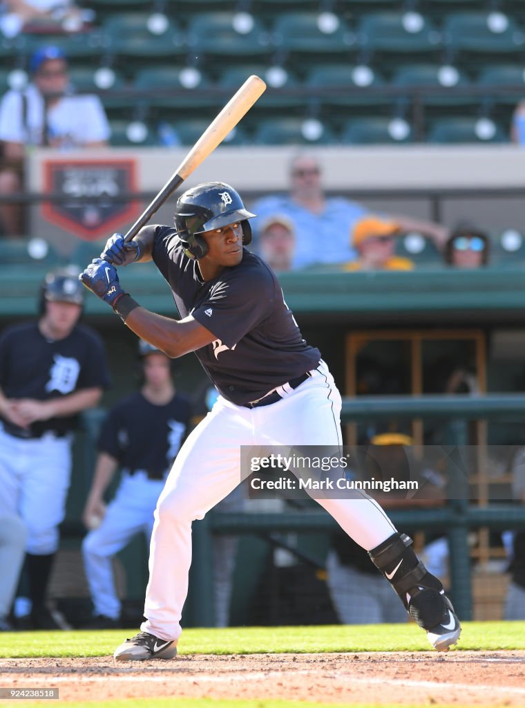 Pittsburgh Pirates v Detroit Tigers