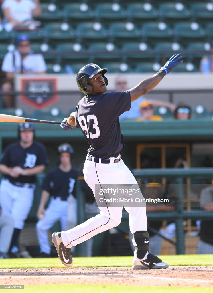 Pittsburgh Pirates v Detroit Tigers