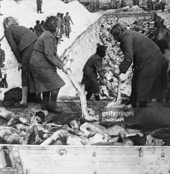 World War II. Bergen-Belsen concentration camp. SS women taking away their victims from trucks to put them in a common grave under the surveillance...