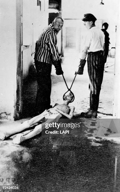 World War II. Dachau concentration camp . Corpse dragged corpse towards the oven.