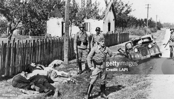 World War II. Yugoslavia. Civilians shot down by the German army.