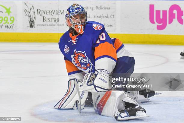 Kristers Gudlevskis of the Bridgeport Sound Tigers looks back to find the puck during a game against the Charlotte Checkers at the Webster Bank Arena...