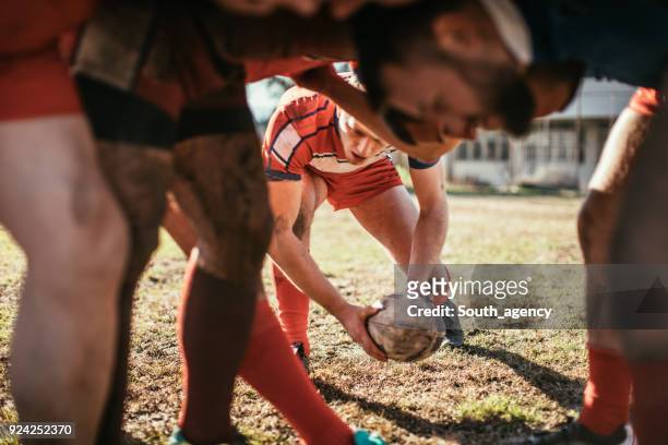 rugbyspelers in spel - scrummen stockfoto's en -beelden