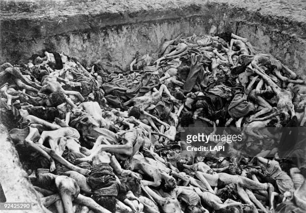 World War II. Common grave at Bergen-Belsen concentration camp .