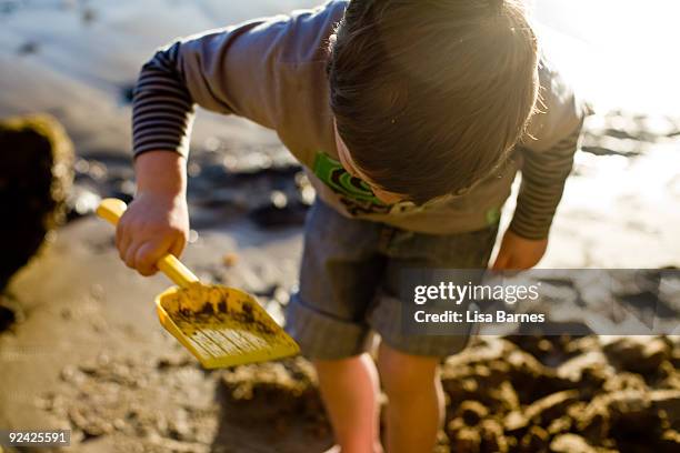 boy playing on sand with spade - pittwater stock pictures, royalty-free photos & images