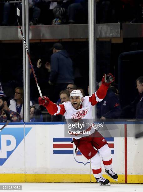 Trevor Daley of the Detroit Red Wings celebrates his game winning goal in overtime against the New York Rangers on February 25, 2018 at Madison...