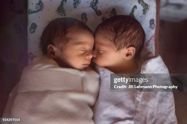 premature newborn fraternal twins in hospital sleep together in plastic crib - gêmeos nascimento múltiplo - fotografias e filmes do acervo