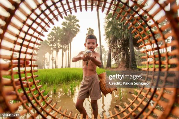 fishing boy asian farmer people on rice green field during morning time - indonesian farmer fotografías e imágenes de stock