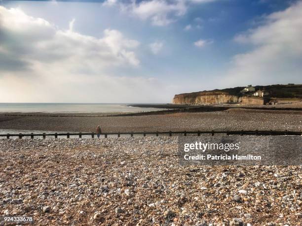 cuckmere haven estuary into the english channel - cuckmere haven stock pictures, royalty-free photos & images