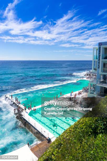 swimmers are swimming in the icebergs pool near bondi beach, sydney, australia. - bondi pool stock-fotos und bilder