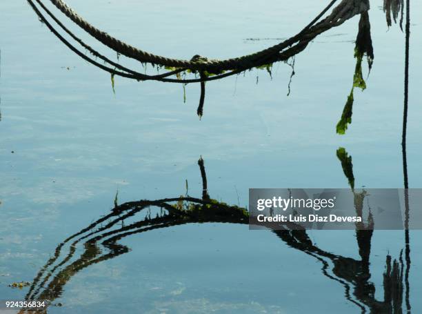 a mooring rope reflecting - anlegetau stock-fotos und bilder