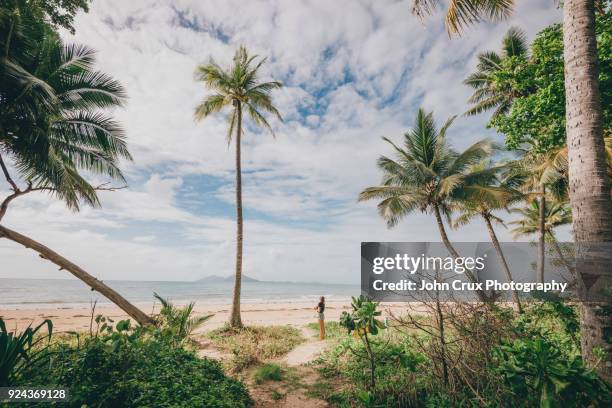 mission beach - the kimberley stock pictures, royalty-free photos & images