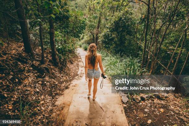queensland rainforrest tourist - cairns australia fotografías e imágenes de stock