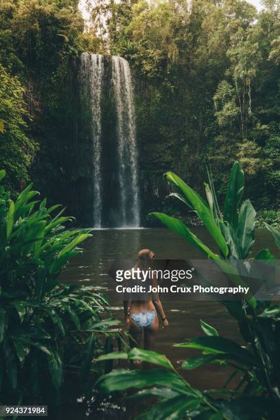 millaa millaa falls tourist - queensland rainforest stock pictures, royalty-free photos & images
