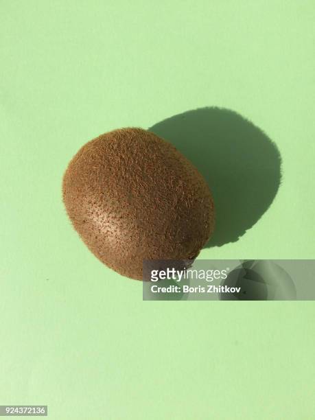 kiwi fruit. - kiwi foto e immagini stock