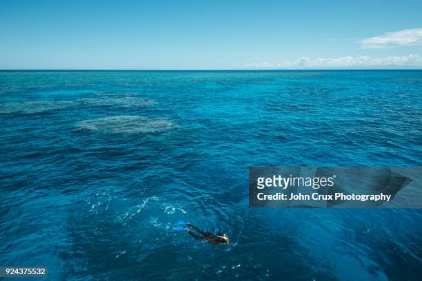 great barrier reef snorkeller - port douglas stock-fotos und bilder
