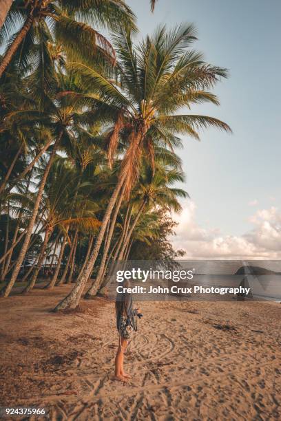 palm cove beach tourist - port douglas stockfoto's en -beelden