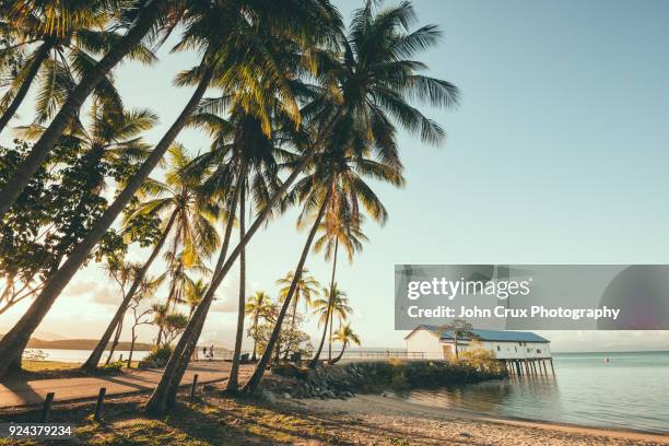 port douglas dock - cairns australië stockfoto's en -beelden