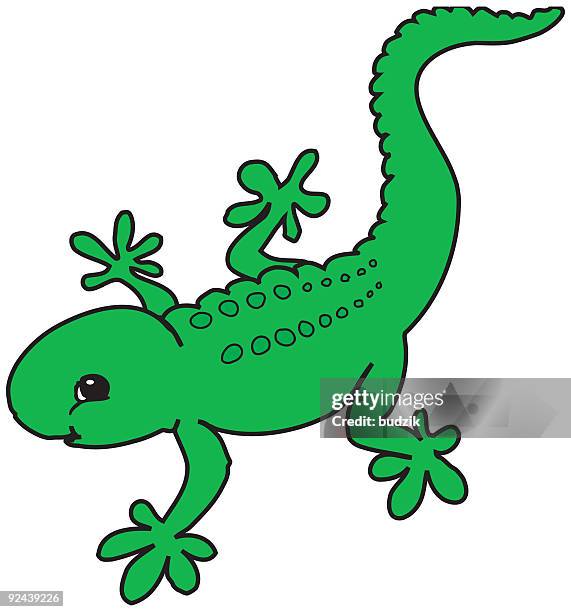 chameleon, lizard, reptile - vector - mystic connecticut stock illustrations