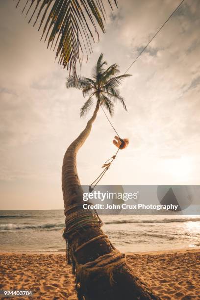 sri lanka beach swing - southern crux foto e immagini stock