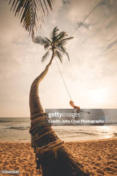 sri lanka susnet beach swing - southern crux foto e immagini stock