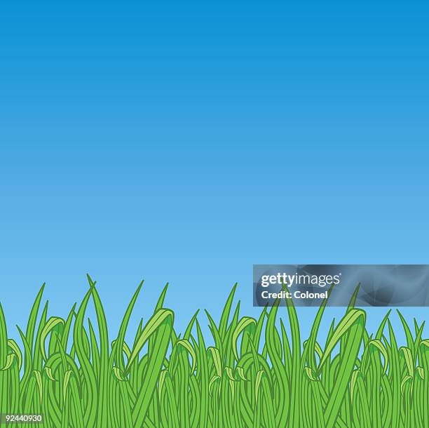 grass (vector & jpg) - sod field stock illustrations