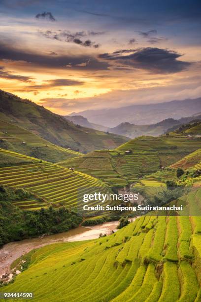 beautiful landscape view of rice terraces and house - longji tetian foto e immagini stock