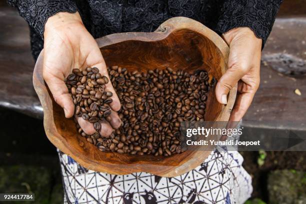 indonesia, local woman holding freshly arabica coffe beans roasted - indonesian farmer 個照片及圖片檔