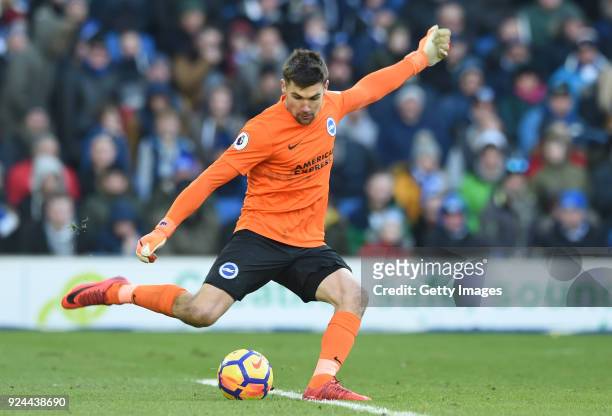 Mathew Ryan of Brighton and Hove Albion passes the ball during the Premier League match between Brighton and Hove Albion and Swansea City at Amex...
