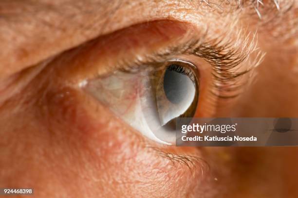 close-up and macro details 775109177 - massage funny stock pictures, royalty-free photos & images