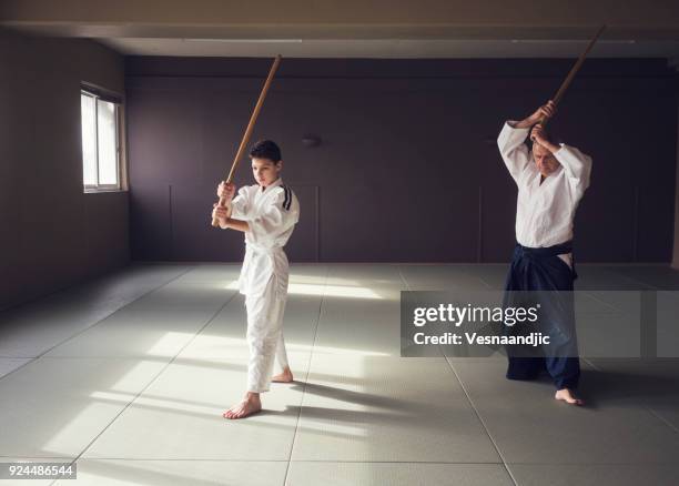 Sansei 125 Sansei Do Stock Photos, High-Res Pictures, and Images - Getty Images