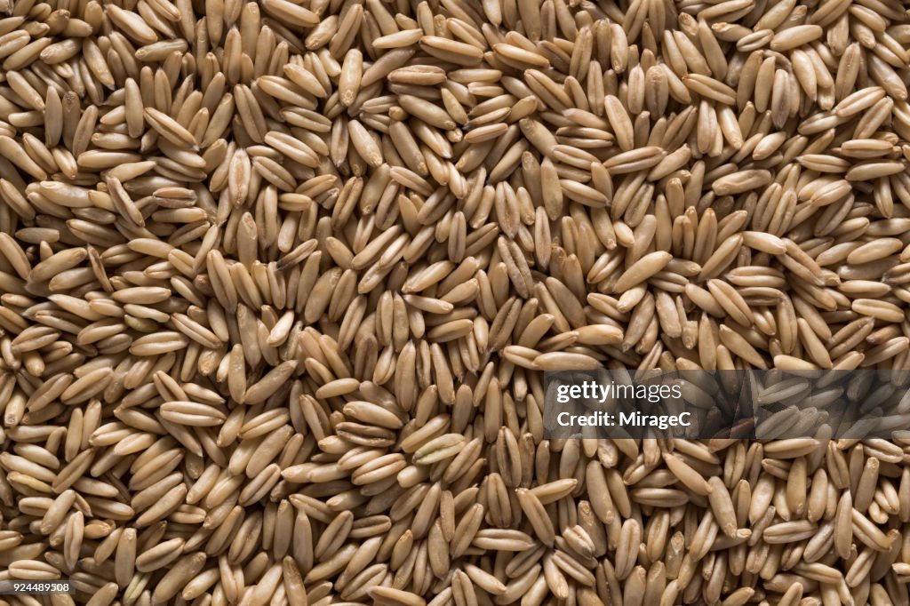 Oat Grains