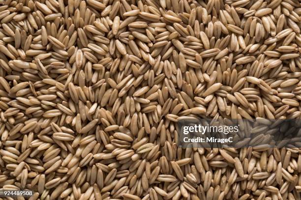 oat grains - oats food fotografías e imágenes de stock
