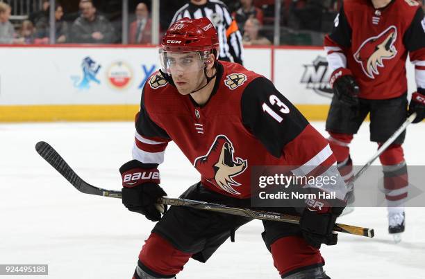 Freddie Hamilton of the Arizona Coyotes gets ready to take a faceoff against the Anaheim Ducks at Gila River Arena on February 24, 2018 in Glendale,...