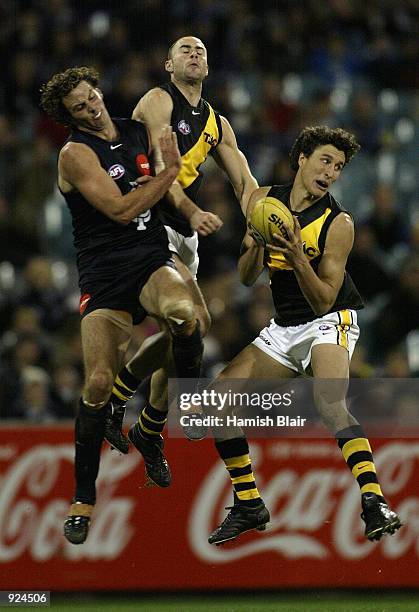 Darren Gaspar for Richmond collects the ball as Jason Torney for Richmond and Andrew Merrington for Carlton crash the pack during the Round 14 AFL...