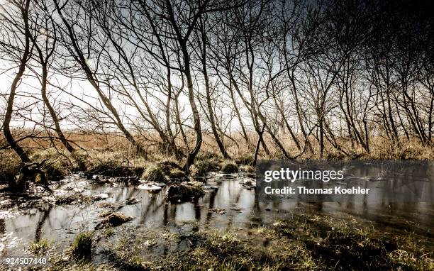 Glowe, Germany Landscape shot in winter at Glowe on the island Ruegen on February 05, 2018 in Glowe, Germany.