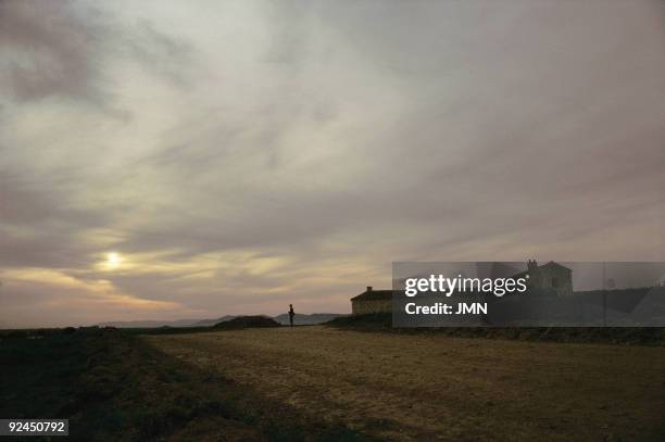 The Route of Don Quijote. 'Herradero Guerrero'. Alcazar de San Juan. Ciudad Real The Route of Don Quijote travels the places characterized by...