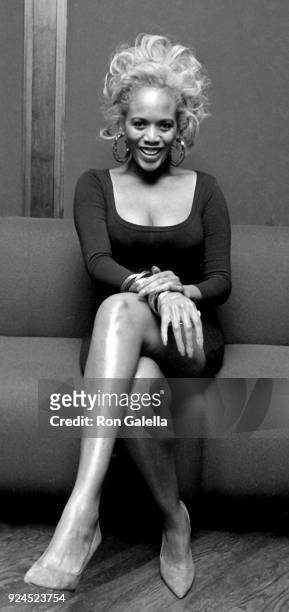 Toukie Smith attends Third Annual Black Girls Association Benefit on February 14, 1991 at Reins Nightclub in New York City.