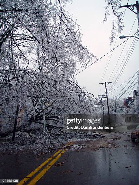 storm blocks road - ice storm stock pictures, royalty-free photos & images