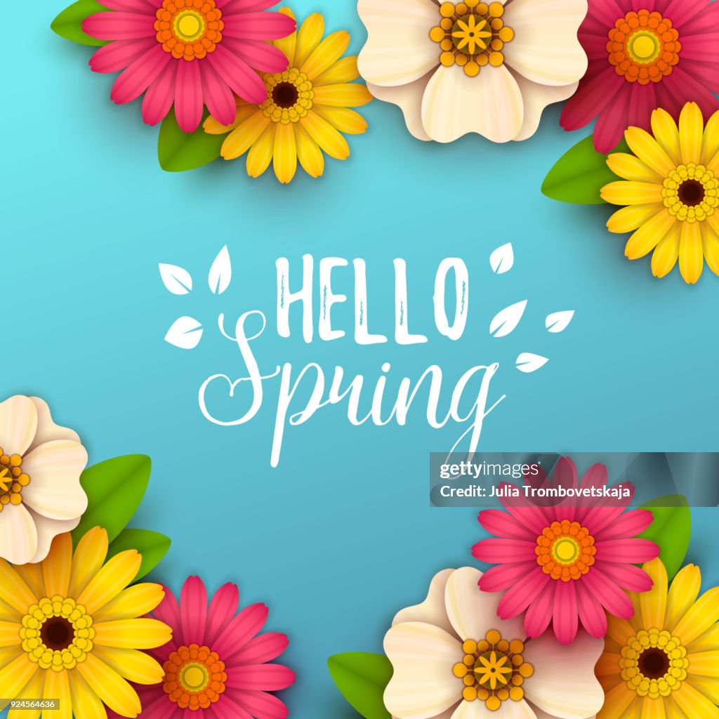 Colorful Spring Background With Beautiful Flowers High-Res Vector ...