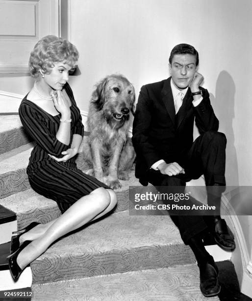 Television program, Alfred Hitchcock Presents. Episode: Craig's Will. Pictured is Stella Stevens and Dick Van Dyke and Casper the dog. Originally...